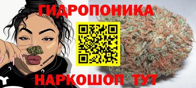 герыч Можга