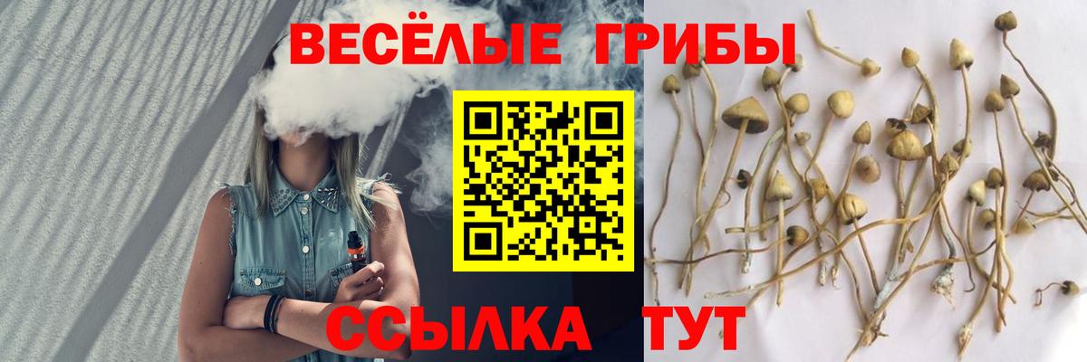 Псилоцибиновые грибы Psilocybe  Вход с VPN  Хабаровск  Галлюциногенные грибы Psilocybine cubensis 